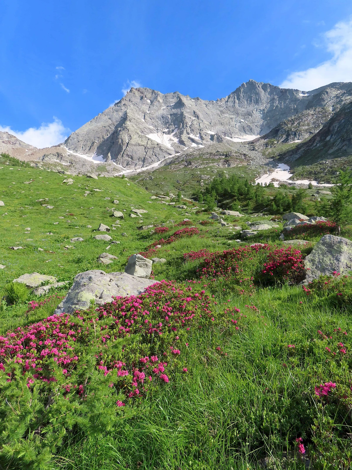 TOR DE TCHALLAN DAMOUN -  itinerario ad anello di 2 giorni